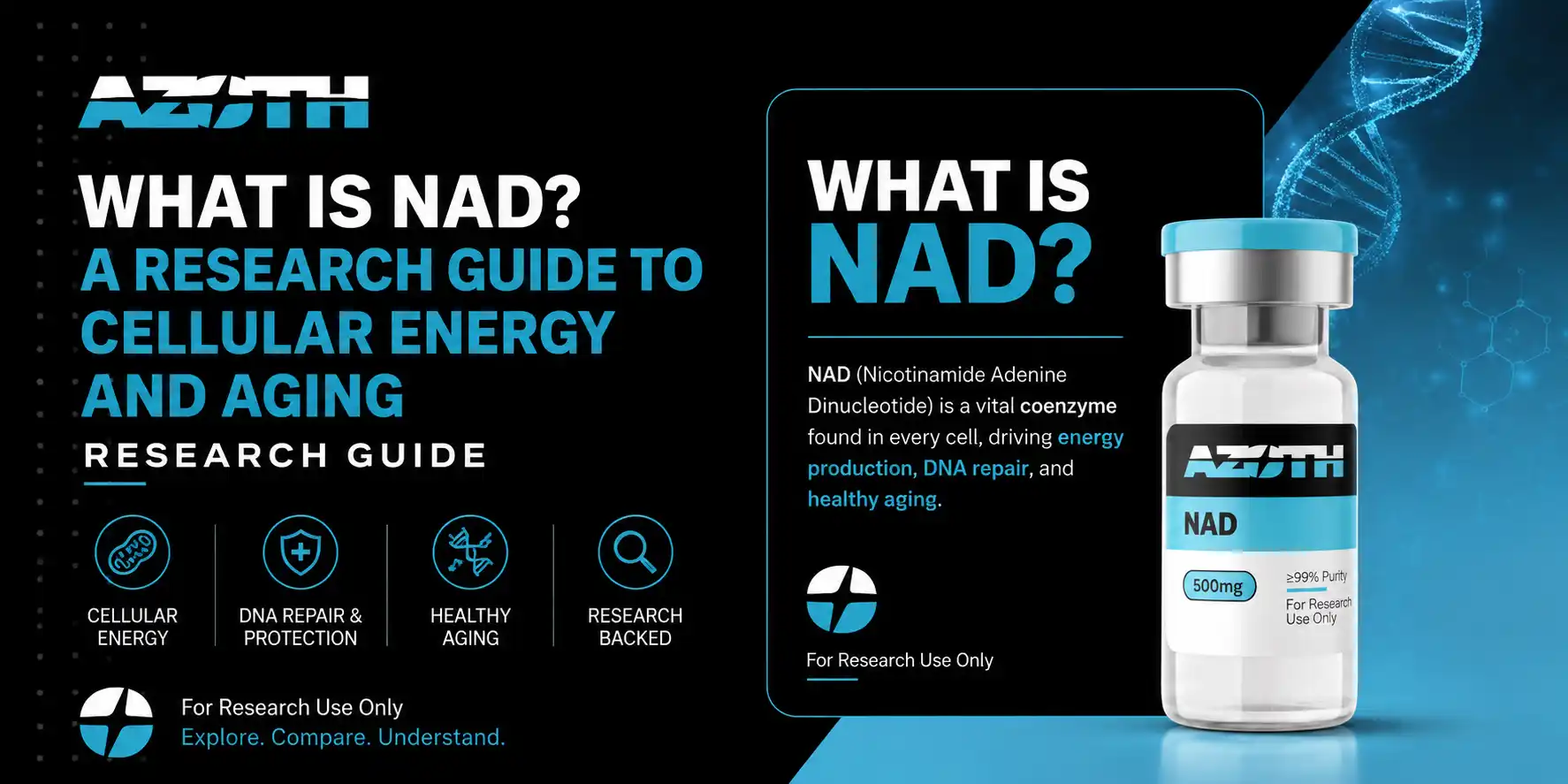 What Is NAD? A Research Guide to Cellular Energy and Aging